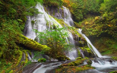 Nature Therapy: Healing Through the Power of the Outdoors