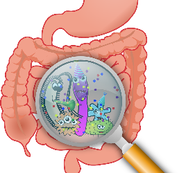 Restore and Rebuild Your Gut