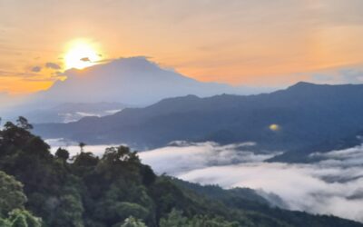 Retreats to Recharge 2025